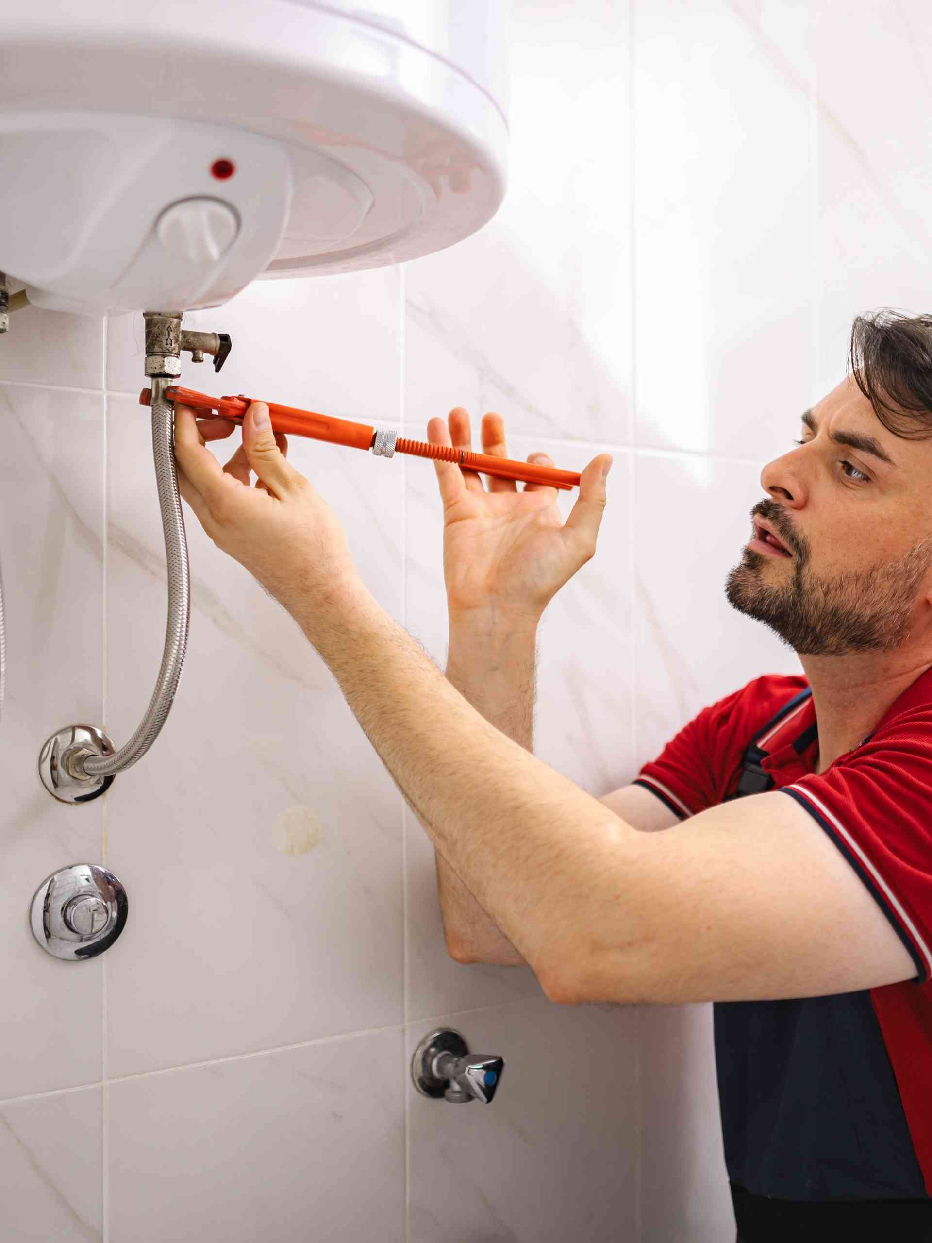 AnimAnimus Working Process Simple, Clear, and Reliable